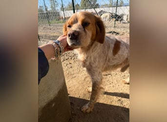 Hier kommt der wundervolle Argo!