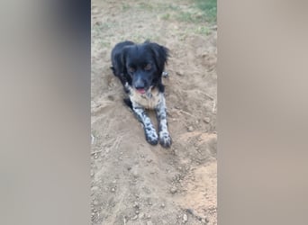 Timmy - In letzter Minute gerettet