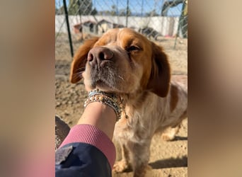 Hier kommt der wundervolle Argo!