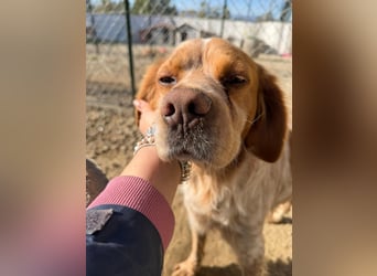 Hier kommt der wundervolle Argo!