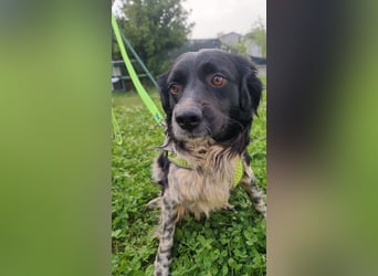 Timmy - In letzter Minute gerettet