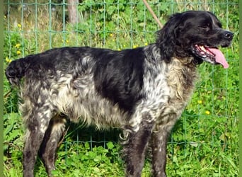 Xico – ein unkomplizierter Begleiter