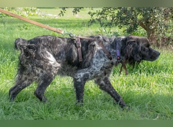 Xico – ein unkomplizierter Begleiter