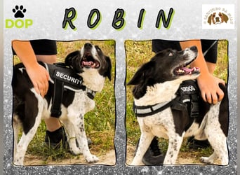 Typisch Schmuser ♦️R O B I N ♦️ in der Cantinho da Milu ⏳ 4/2024