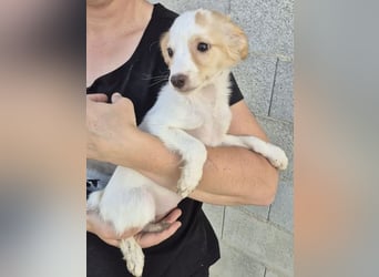 Wanda, Eine kleine Entdeckerin sucht ihr Zuhause
