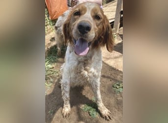 *Reserviert* Freundliche Lara sucht Familienanschluss