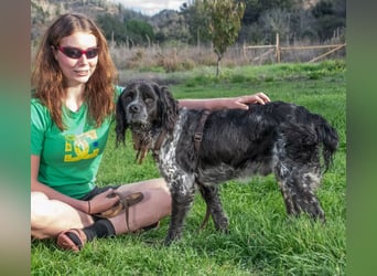 Xico – ein unkomplizierter Begleiter