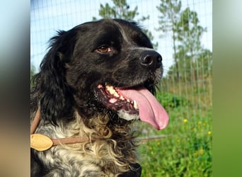 Xico – ein unkomplizierter Begleiter