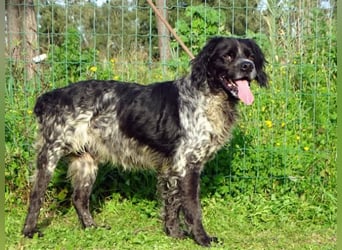 Xico – ein unkomplizierter Begleiter