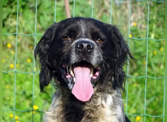 Xico – ein unkomplizierter Begleiter