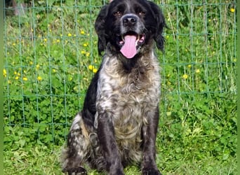 Xico – ein unkomplizierter Begleiter