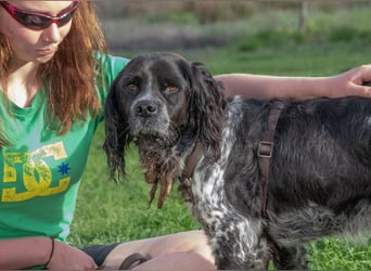 Xico – ein unkomplizierter Begleiter