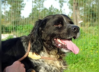 Xico – ein unkomplizierter Begleiter