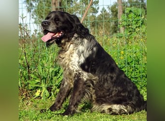 Xico – ein unkomplizierter Begleiter