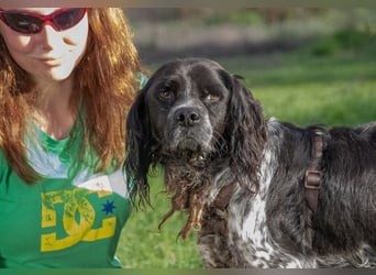 Xico – ein unkomplizierter Begleiter