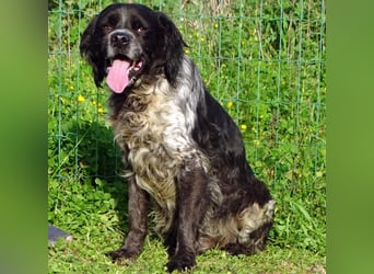 Xico – ein unkomplizierter Begleiter