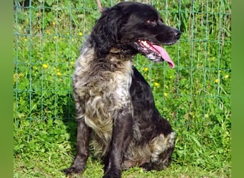 Xico – ein unkomplizierter Begleiter