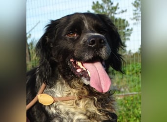 Xico – ein unkomplizierter Begleiter