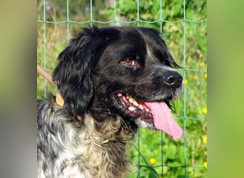 Xico – ein unkomplizierter Begleiter