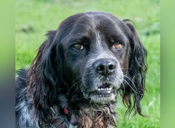 Xico – ein unkomplizierter Begleiter