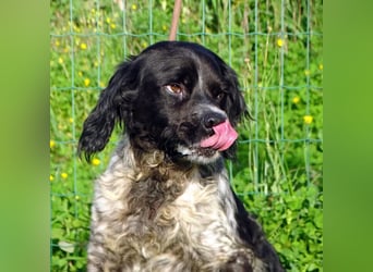 Xico – ein unkomplizierter Begleiter