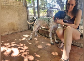 Süße KLEO-sucht dringend liebevolles Zuhause, nachdem ihre Mama ein Zuhause gefunden hat