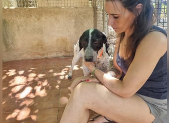 Süße KLEO-sucht dringend liebevolles Zuhause, nachdem ihre Mama ein Zuhause gefunden hat