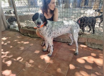 Süße KLEO-sucht dringend liebevolles Zuhause, nachdem ihre Mama ein Zuhause gefunden hat