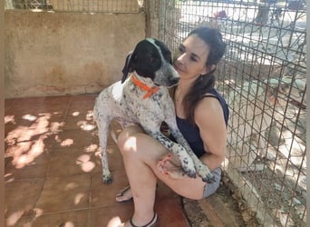 Süße KLEO-sucht dringend liebevolles Zuhause, nachdem ihre Mama ein Zuhause gefunden hat