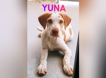 Yuna