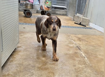 Lella: auch Mamas brauchen Liebe