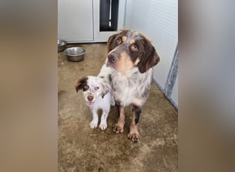 Lella: auch Mamas brauchen Liebe