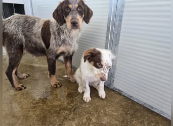 Lella: auch Mamas brauchen Liebe