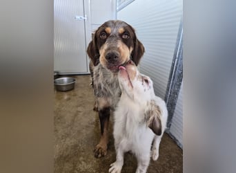 Lella: auch Mamas brauchen Liebe