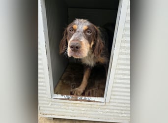 Lella: auch Mamas brauchen Liebe