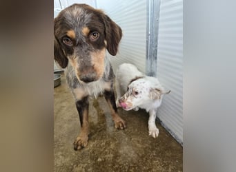 Lella: auch Mamas brauchen Liebe