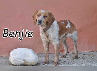 Ermöglichst du Benjie, das Leben das er sich erhofft?