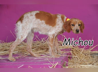 Wer zeigt Michou das ihr Happy End beginnt?