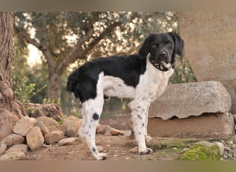 Darf Ihr Leben durch Oreo ein wenig bunter werden?