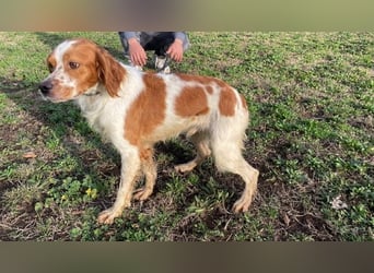 Fish - Es gibt eine freundliche Welt