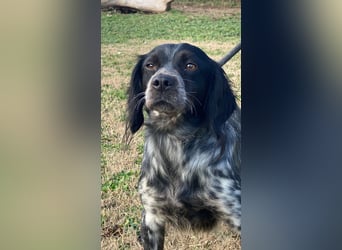 Samira - Gerettet, angekommen, bereit für ein neues Leben