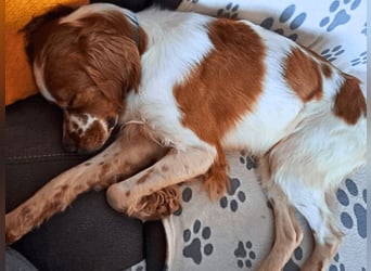 Fish - Es gibt eine freundliche Welt.....