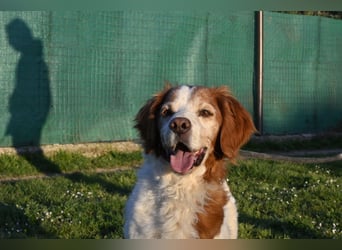 Giotto - wer sagt eigentlich, dass Abenteuer ein Alter haben?