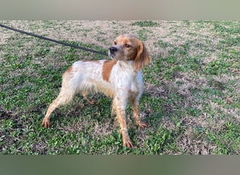 Uliana - Der Sinn des Lebens....