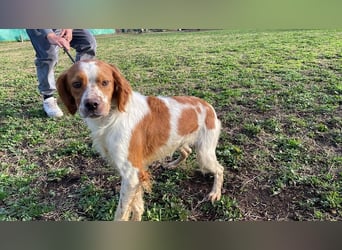 Fish - Es gibt eine freundliche Welt.....