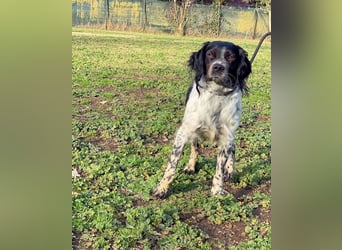 Eros- Wenn ein Wegwerfartikel ein Herz hat