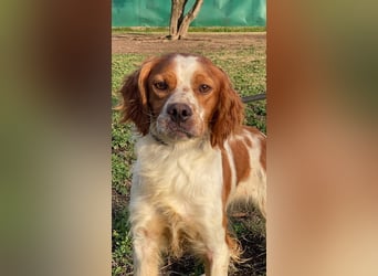 Fish - Es gibt eine freundliche Welt.....