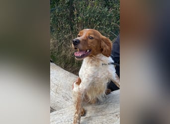 Steve - Freundlichkeit muss sich doch auszahlen