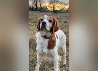 Giotto - wer sagt eigentlich, dass Abenteuer ein Alter haben?