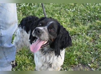 Eros- Nähe, Vertrauen und einfach dazugehören